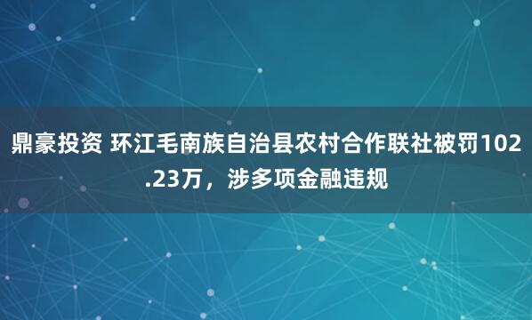 鼎豪投资 环江毛南族自治县农村合作联社被罚102.23万，涉多项金融违规