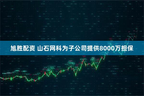 旭胜配资 山石网科为子公司提供8000万担保